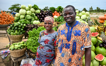 Laporan Kebijakan Inisiatif Penghitungan Mundur Sistem Pangan 2024